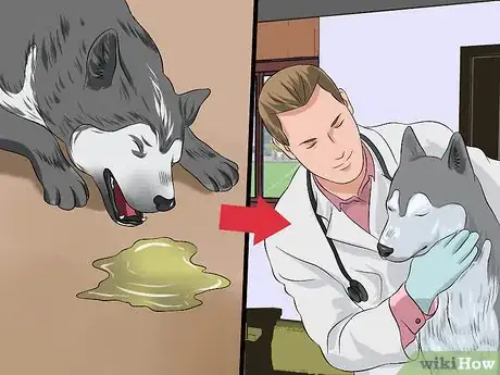 Image titled Diagnose Canine Distemper Step 3