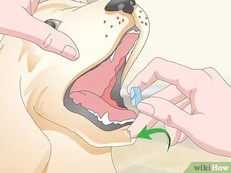 Image titled Get Your Dog to Take Its Medicine Step 14