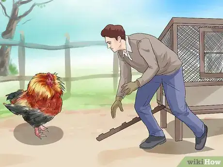 Image titled Protect Yourself from an Attacking Rooster Step 8