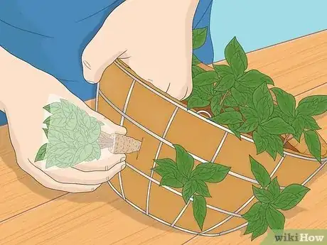 Image titled Make a Moss Hanging Basket Step 13