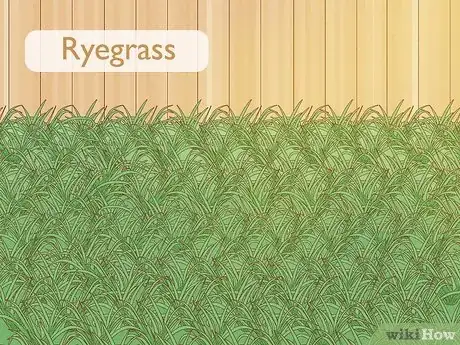 Image titled Grass for Shaded Areas Step 5