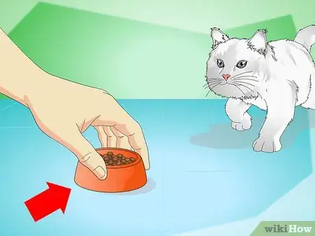 Image titled Stop Kittens from Crying Step 10