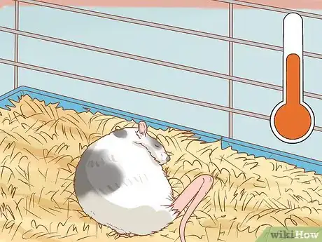 Image titled Care for a Pet Rat Step 15