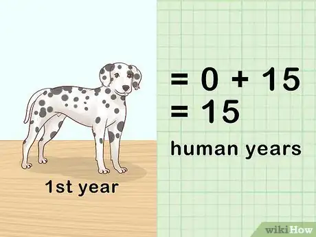 Image titled Determine Your Dog's Age Step 7