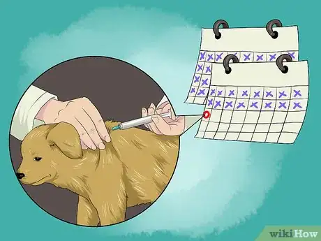 Image titled Take a Mother Dog to a Postnatal Veterinary Exam Step 14