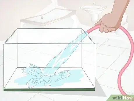 Image titled Clean a Hermit Crab Tank Step 5