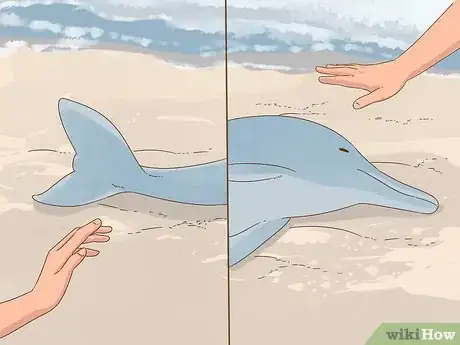 Image titled Save a Stranded Dolphin Step 9