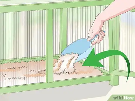 Image titled Clean and Maintain a Button Quail Cage Step 8