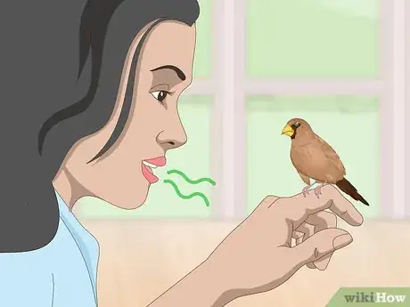Image titled Bond with Pet Finches Step 9