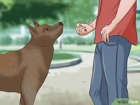 Image titled Teach Your Dog Not to Get Into Garbage Cans Step 6