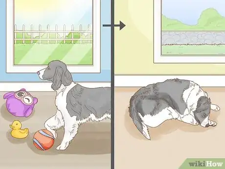 Image titled Get a Dog to Eat Step 5