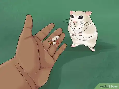 Image titled Have Fun With Your Hamster Step 4
