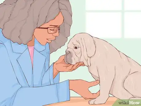 Image titled Give Away Your Dog when You Don't Want To Step 10