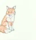 Draw a Fox