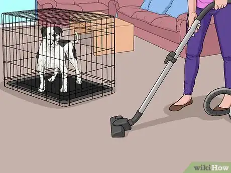 Image titled Keep a Dog from Chasing the Vacuum Cleaner Step 1