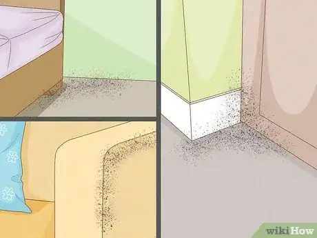 Image titled Get Rid of Bed Bugs Step 3