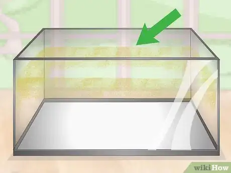 Image titled Use an Aquarium As a Mouse Cage Step 1