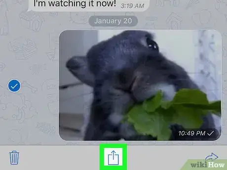 Image titled Save Telegram Gifs on iPhone or iPad Step 6