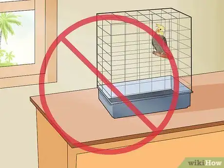 Image titled Get Your Cockatiel to Stop Laying Eggs Step 3