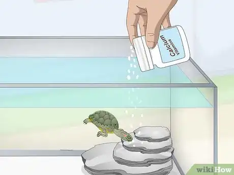 Image titled Feed a Red‐Eared Slider Turtle Step 5