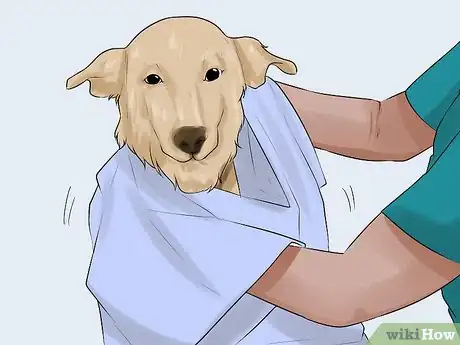Image titled Give a Stubborn Dog a Bath Step 8
