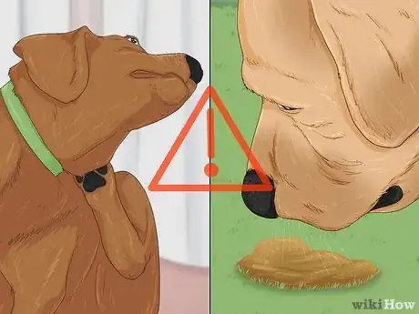 Image titled Make Your Dog Stop Sleeping in Your Bed Step 15