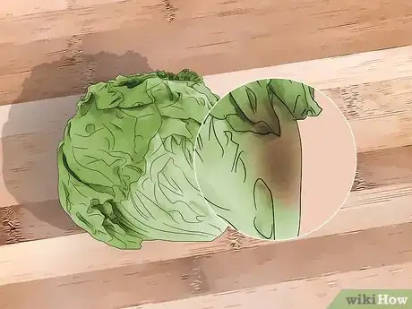 Image titled Tell if Lettuce Has Gone Bad Step 1