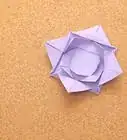 Fold an Origami Water Lily