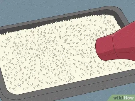 Image titled Why Does Rice Turn Into Maggots Step 5