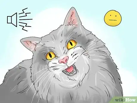 Image titled Identify a Siberian Cat Step 8