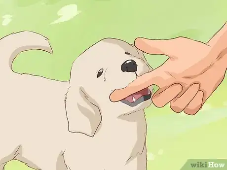 Image titled Discourage a Dog From Biting Step 1