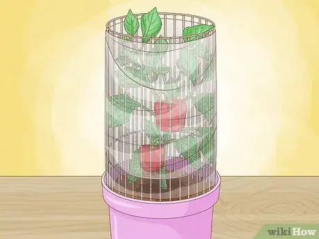 Image titled Grow Bell Peppers Step 12