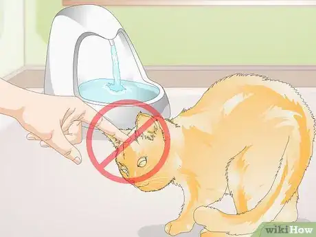 Image titled Train Your Cat to Use a Pet Fountain Step 8