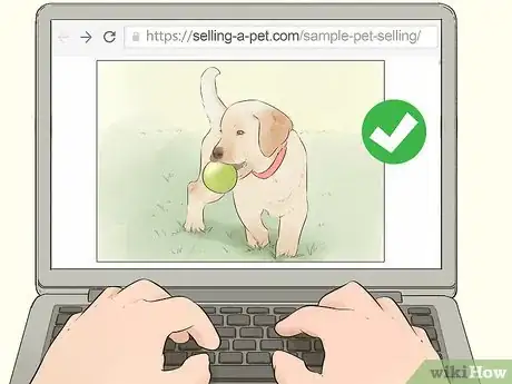 Image titled Write an Advertisement for a Pet Step 14