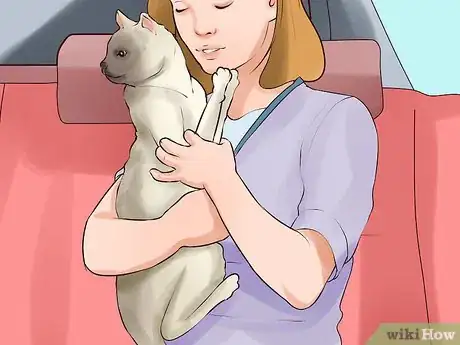 Image titled Transport a Nervous Cat Step 6