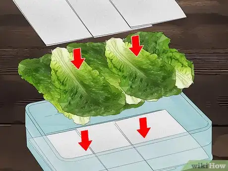 Image titled Tell if Lettuce Has Gone Bad Step 8