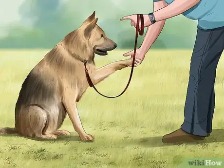 Image titled Take Care of a German Shepherd Step 17