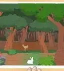 Draw a Forest