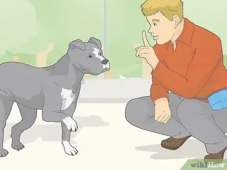 Image titled Train a Dog to Not Be Clingy Step 15