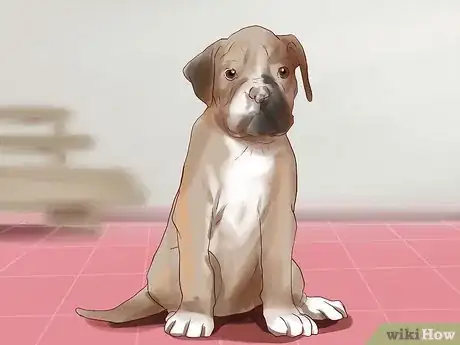 Image titled Train a Boxer Puppy Step 1