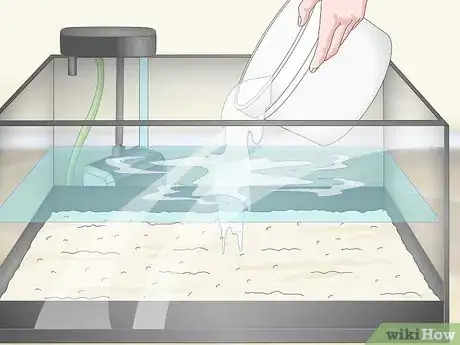 Image titled Know when Your Goldfish Is Dying Step 10