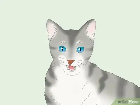 Image titled Why Do Cats Chatter Step 9