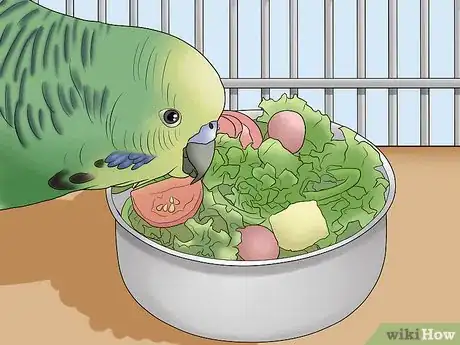 Image titled Amuse Your Parakeet or Other Bird Step 1