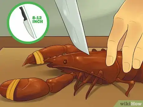 Image titled Kill Lobster Step 3