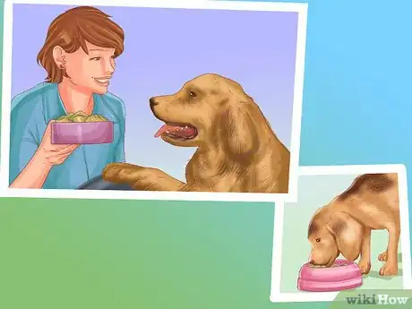 Image titled Choose a Place for Your Dog to Eat Step 2