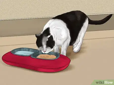 Image titled Catify Your Home for a Senior Cat Step 6