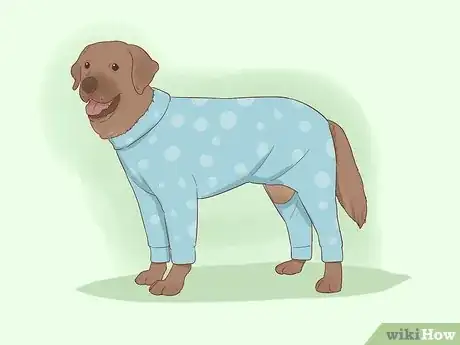 Image titled Make Dog Clothes Step 1