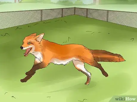 Image titled Care for a Pet Fox Step 20