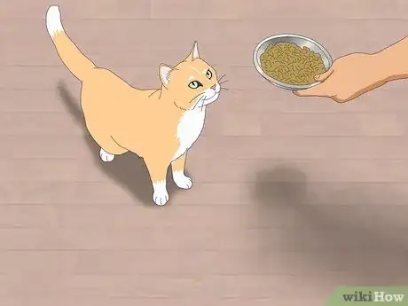 Image titled Get Your Cat to Know and Love You Step 9