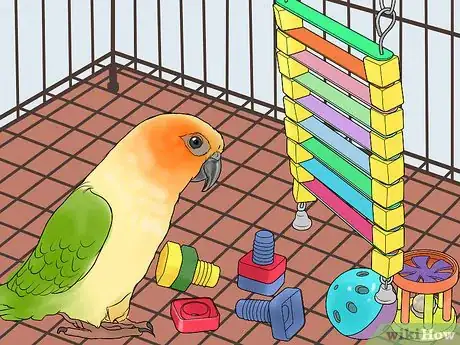 Image titled Interact with Your Conure Step 3